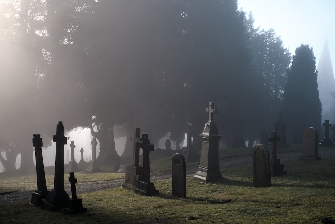 Book cover illustration of a mystery novel set in a cemetery at dusk